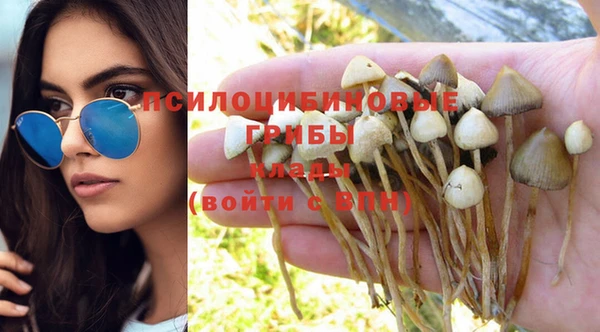 мет Богородицк
