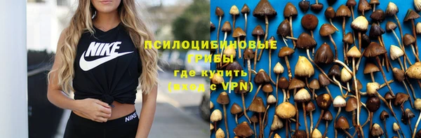 героин Богданович