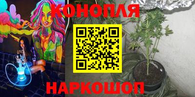 шишки Волжский
