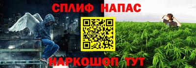 шишки Волжский